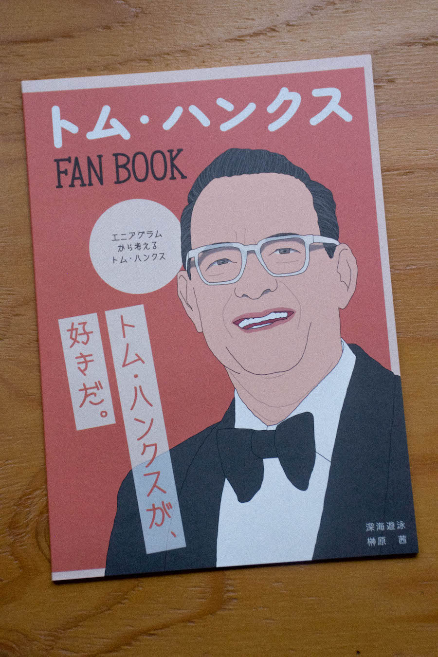 DSC8284 NIGHTHAWKS DSC8284