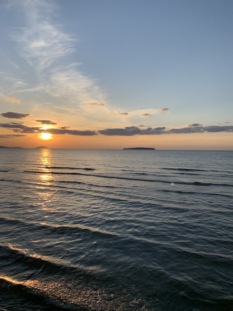 IMG 0525 NIGHTHAWKS IMG 0525