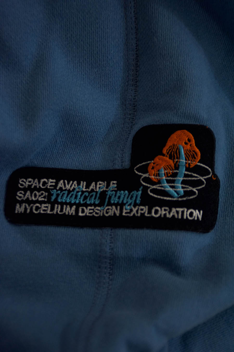 DSC4827 NIGHTHAWKS DSC4827