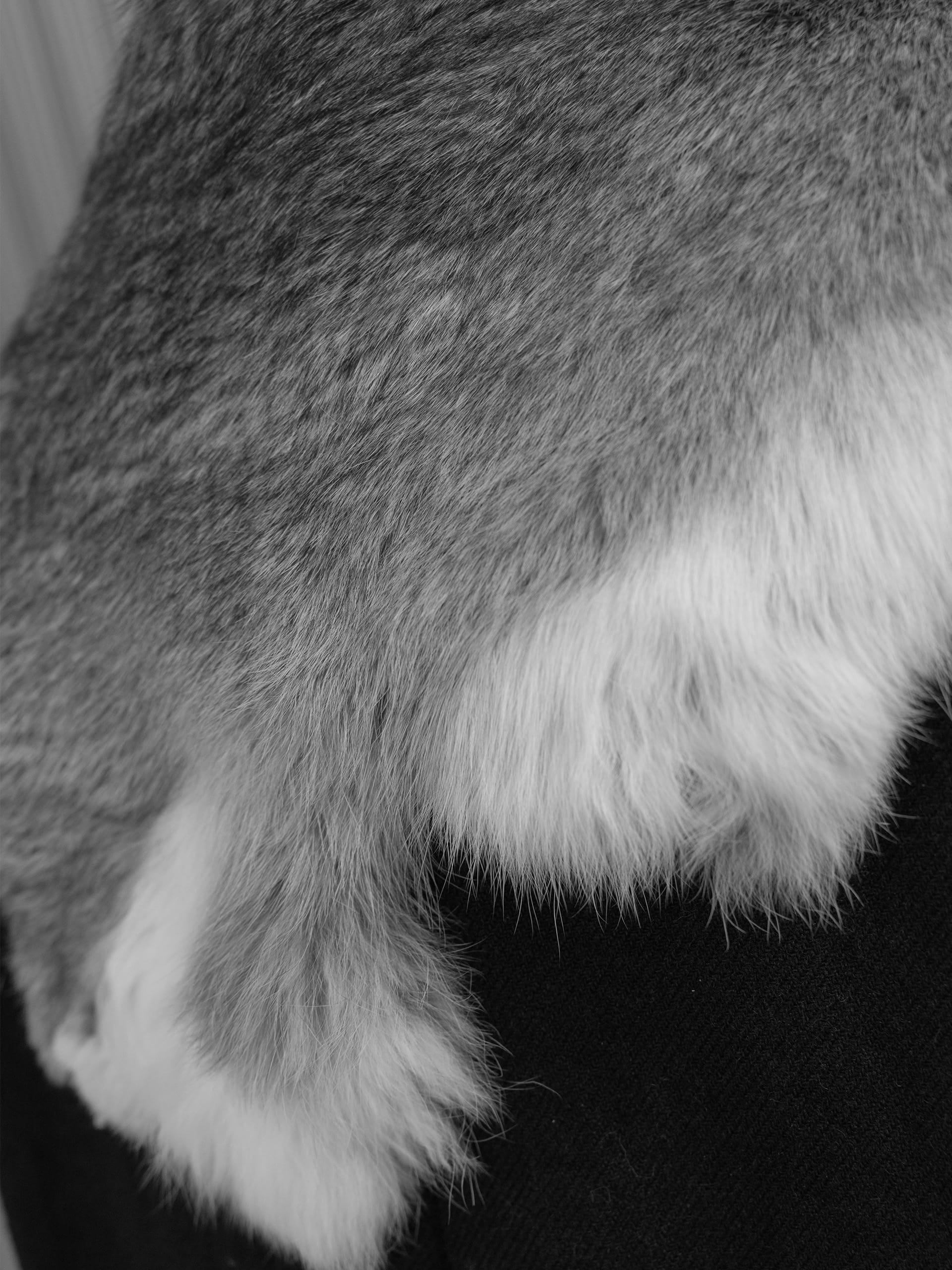 British Wool Long Coat(Rabbit Fur) NIGHTHAWKS 服用ガイドテンプレート のコピー111111 のコピー NIGHTHAWKS